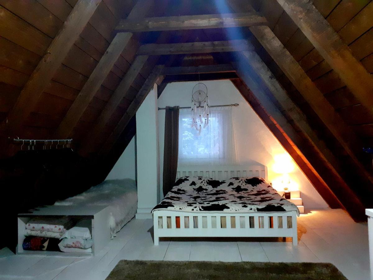 Stay Wild Žabljak Buitenkant foto